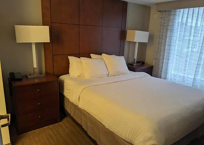Revi North 3*